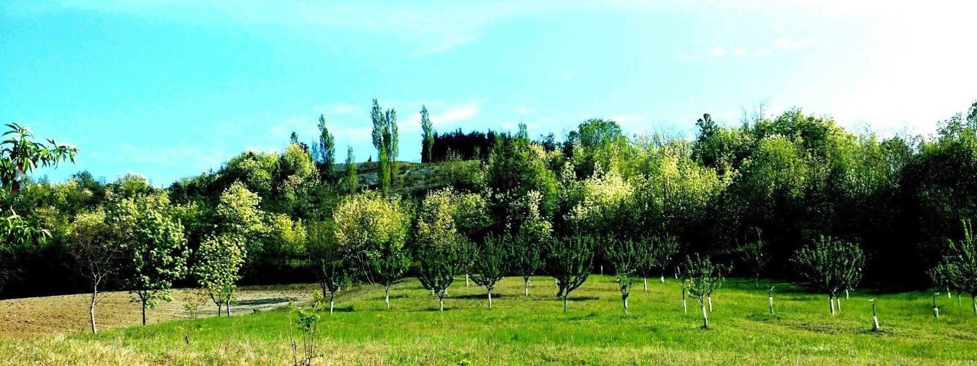 Tenuta Valdorso - Agri Resort Montechiaro D'acqui Bagian luar foto