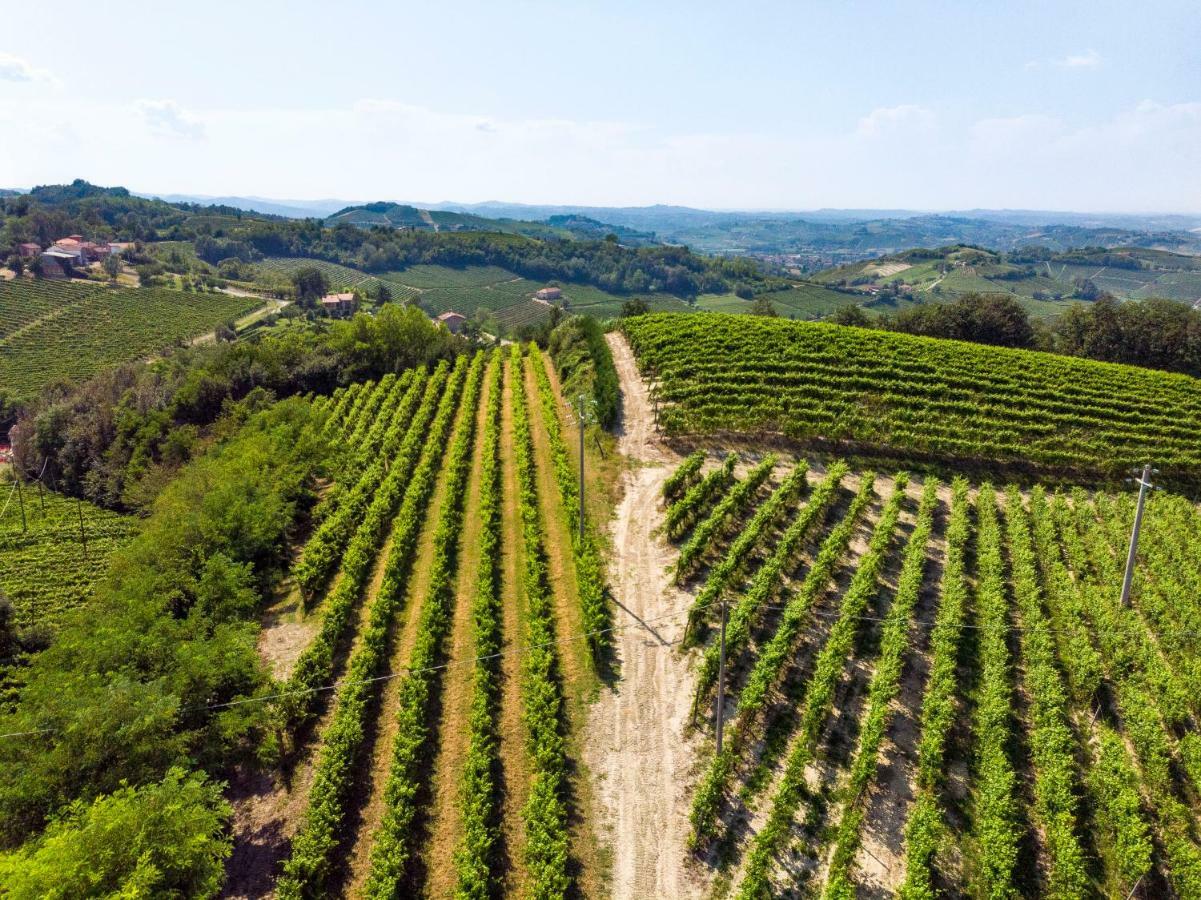 Tenuta Valdorso - Agri Resort Montechiaro D'acqui Bagian luar foto